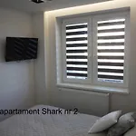 Shark Giżycko