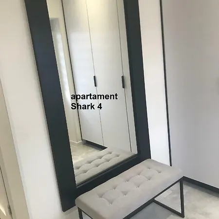 Shark Giżycko