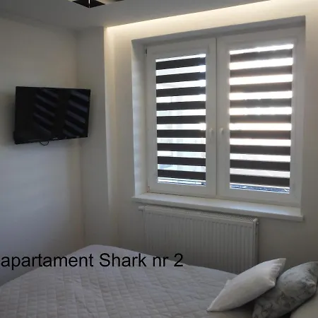 Shark Гижицко